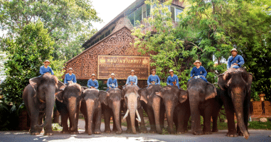 Pattaya Elephant Village