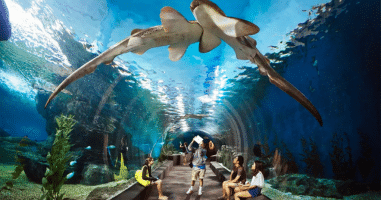 Underwater World Pattaya